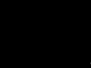 15041